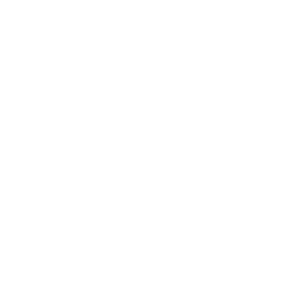 Sponsorship Icon